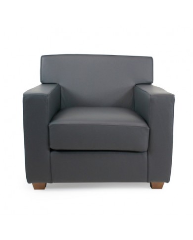 FRANK-Sessel aus Stoff, Leder oder Samt in verschiedenen Farben